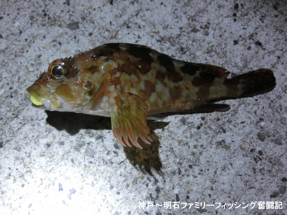 f:id:yggxq957:20191214101644j:plain