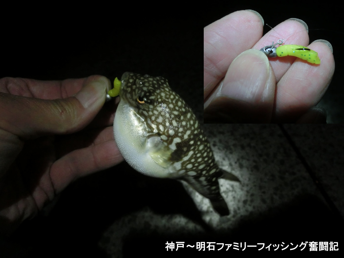 f:id:yggxq957:20191214102833j:plain