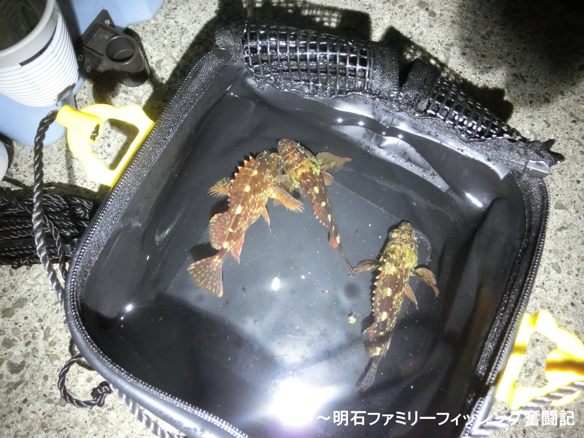 f:id:yggxq957:20191214103808j:plain