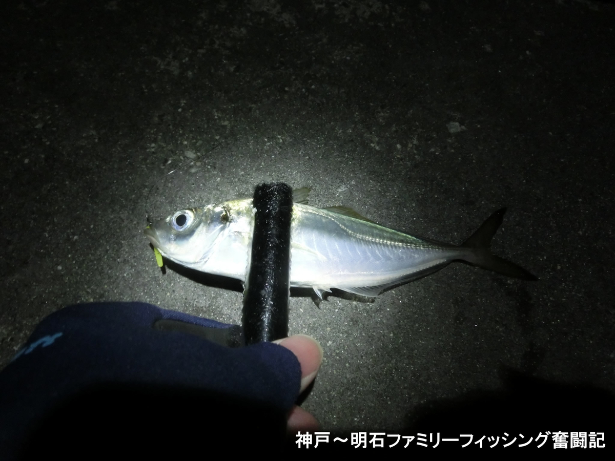 f:id:yggxq957:20191229172203j:plain