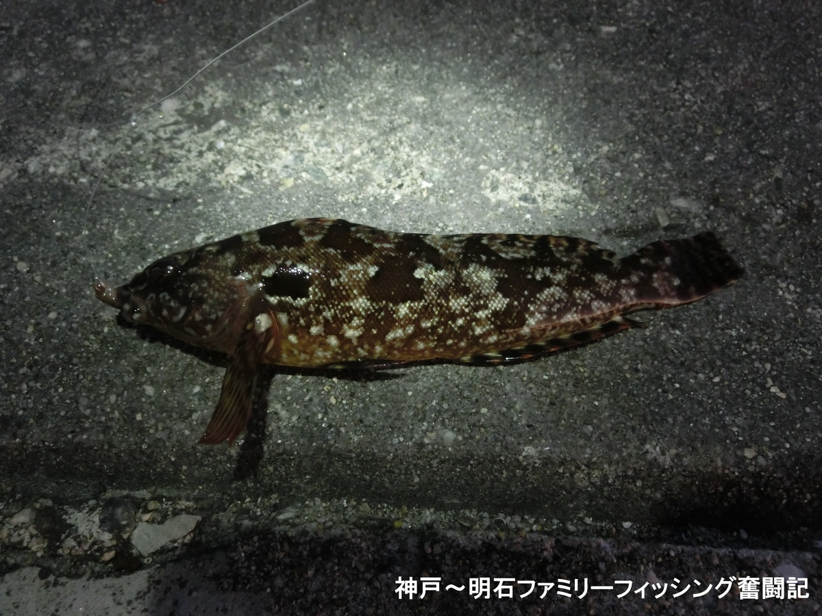 f:id:yggxq957:20191229172539j:plain