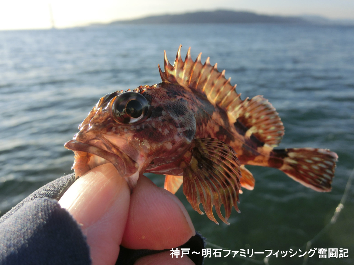 f:id:yggxq957:20191229172920j:plain