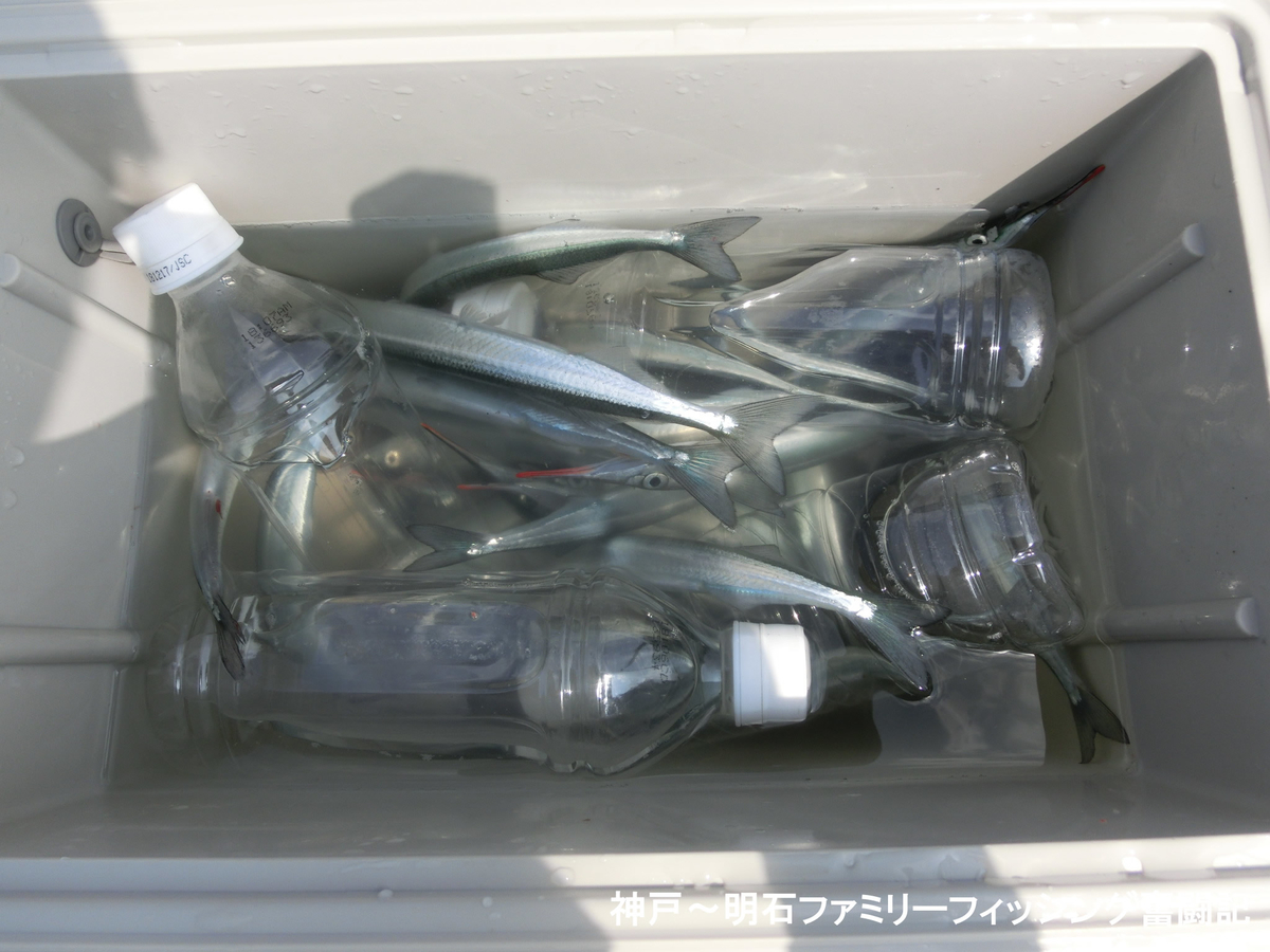 f:id:yggxq957:20200530212801j:plain