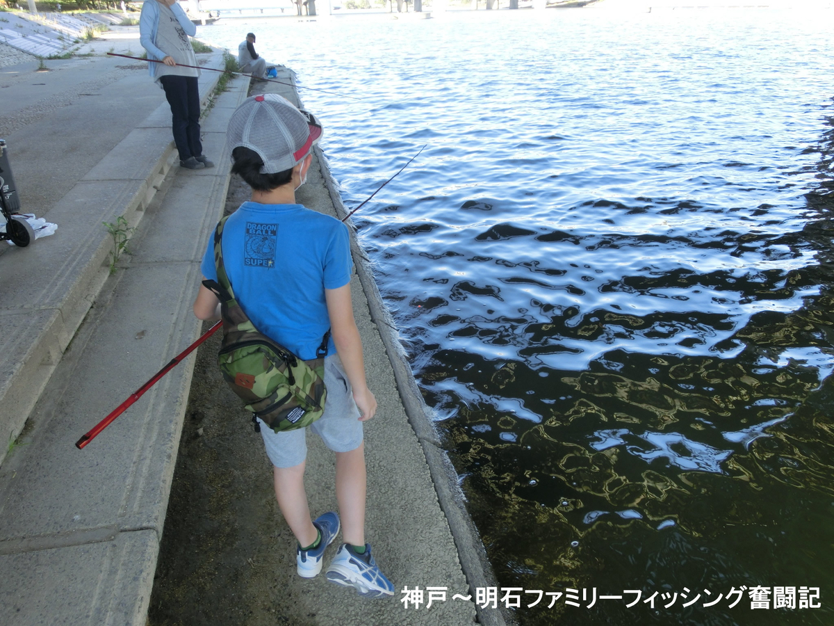 f:id:yggxq957:20200607164208j:plain