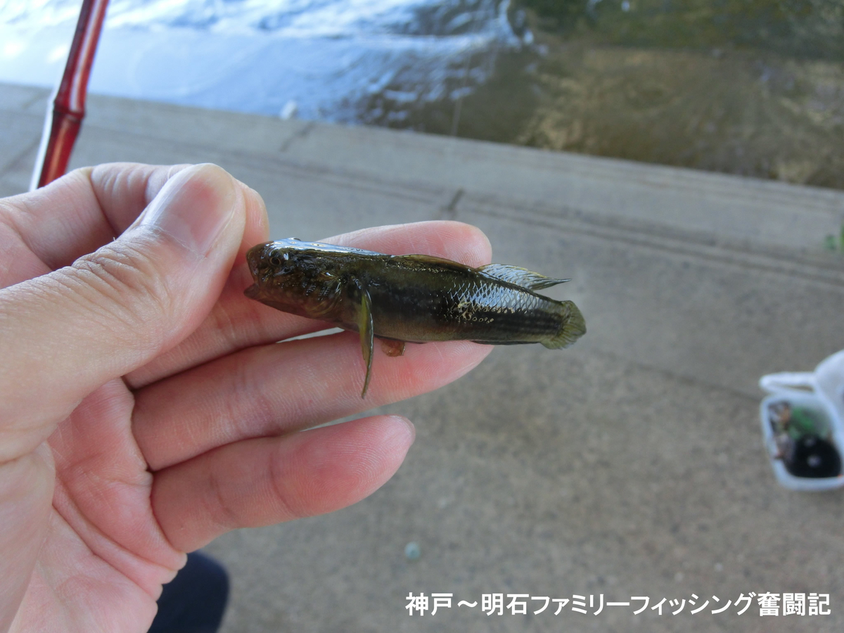 f:id:yggxq957:20200607165314j:plain