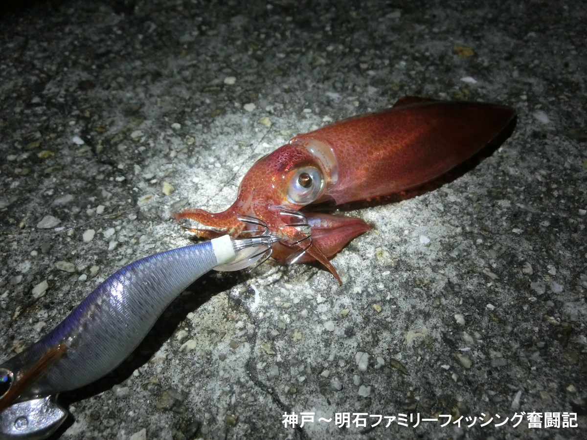 f:id:yggxq957:20210801093111j:plain