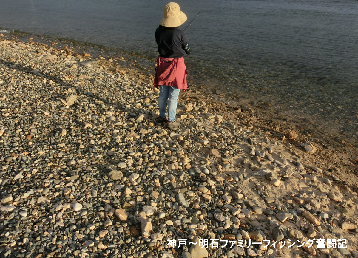 f:id:yggxq957:20210919234920j:plain