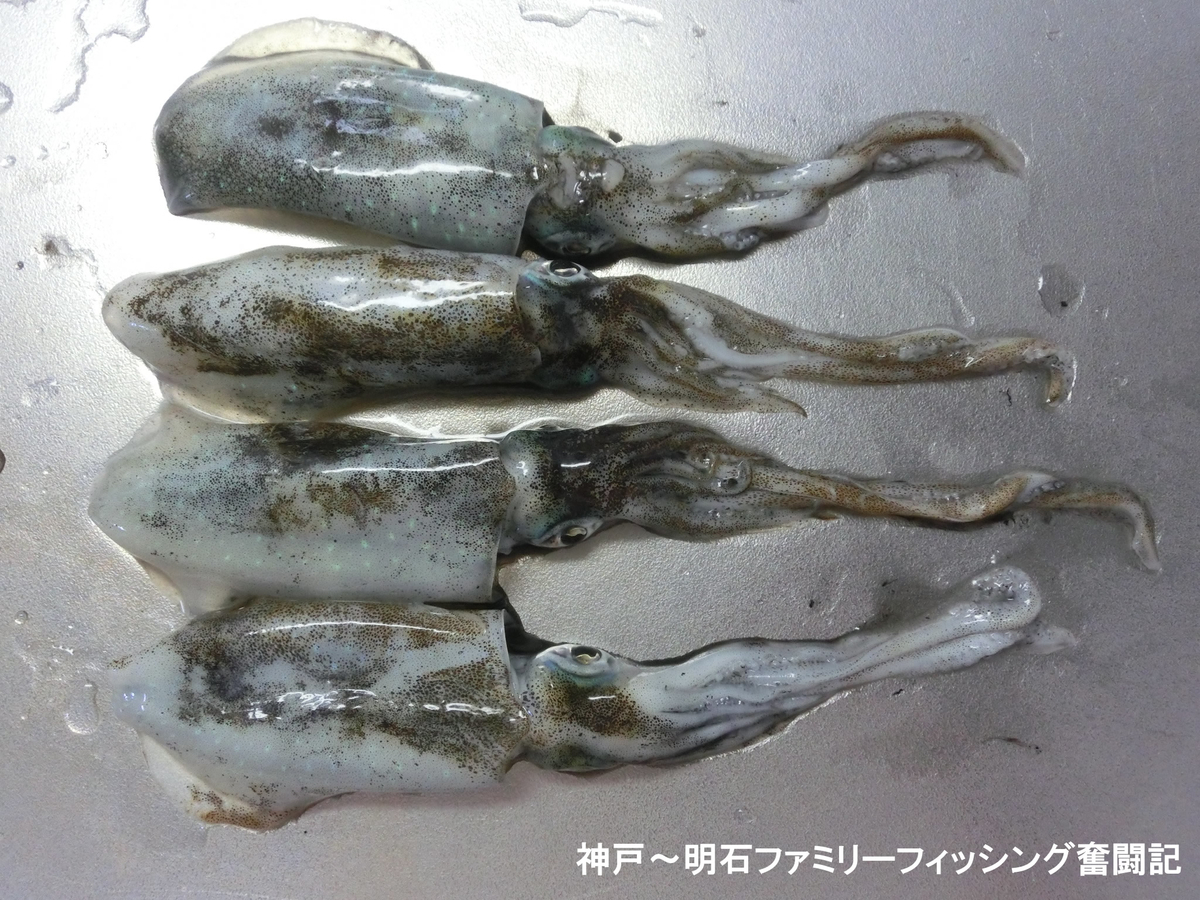 f:id:yggxq957:20210920010201j:plain