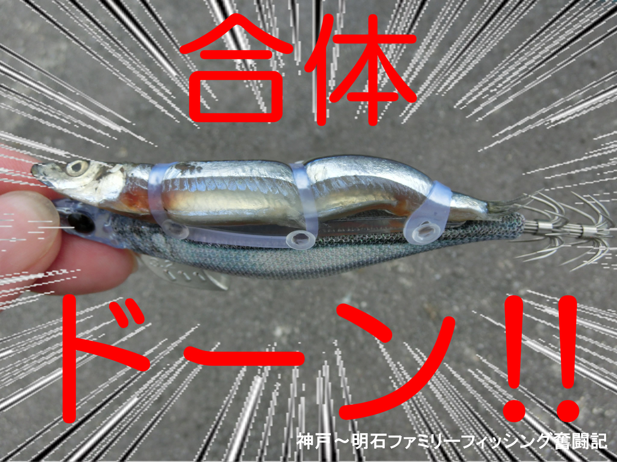 f:id:yggxq957:20211024161839j:plain