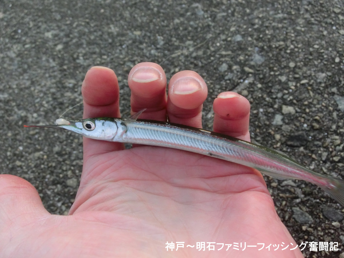 f:id:yggxq957:20211024162622j:plain