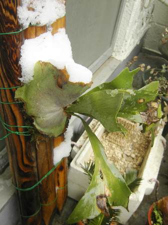 f:id:ygi:20080425015402j:image:w300 f:id:ygi:20080425015402j:image:w300