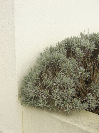 f:id:ygi:20080425020818j:image:w330 f:id:ygi:20080425020818j:image:w330