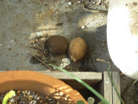 f:id:ygi:20081127030615:image:w450 f:id:ygi:20081127030615:image:w450