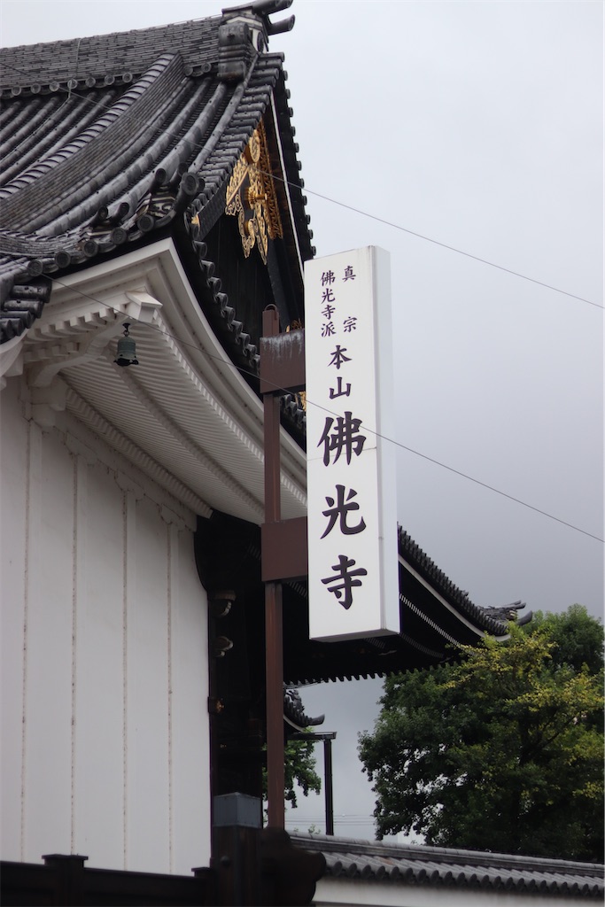 f:id:ygintp:20200729215929j:image f:id:ygintp:20200729215929j:image