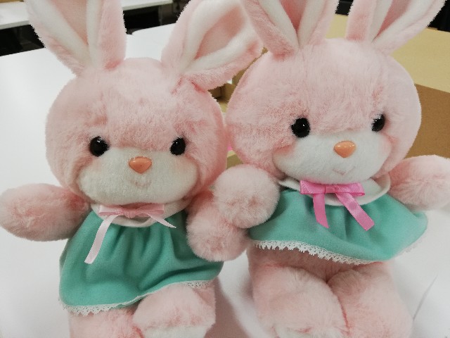 f:id:ygkani:20240722100006j:image f:id:ygkani:20240722100006j:image