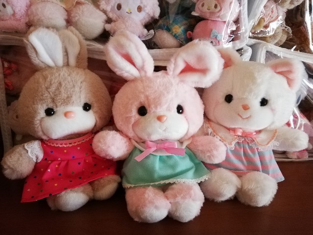 f:id:ygkani:20240722100038j:image f:id:ygkani:20240722100038j:image