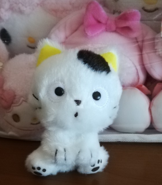 f:id:ygkani:20240722100054j:image f:id:ygkani:20240722100054j:image