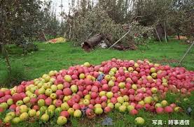 f:id:yh4771p307:20200906031535j:plain