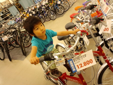 f:id:yha:20100614194741j:image