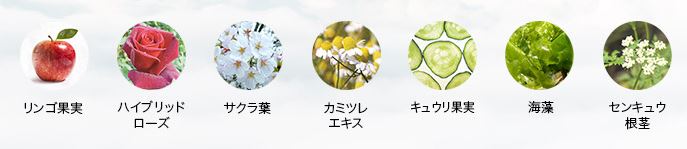 f:id:yhanamizuki:20180409040421j:plain f:id:yhanamizuki:20180409040421j:plain