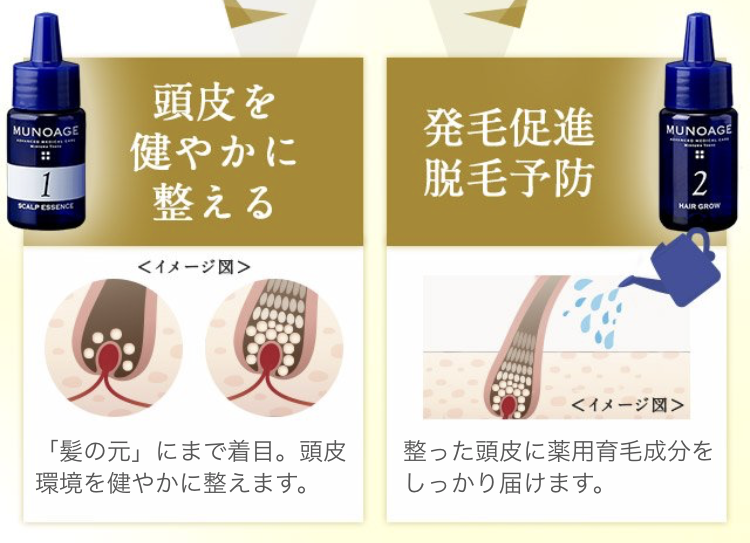 f:id:yhanamizuki:20180721062755p:plain f:id:yhanamizuki:20180721062755p:plain