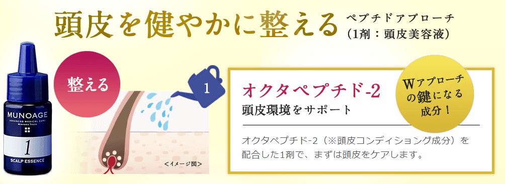 f:id:yhanamizuki:20180721062952j:plain f:id:yhanamizuki:20180721062952j:plain