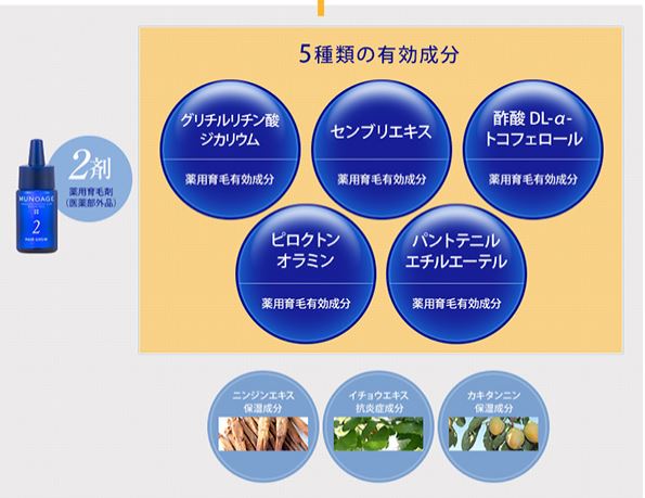 f:id:yhanamizuki:20180721063449j:plain f:id:yhanamizuki:20180721063449j:plain