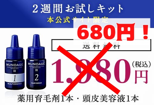 f:id:yhanamizuki:20180730111712j:plain f:id:yhanamizuki:20180730111712j:plain