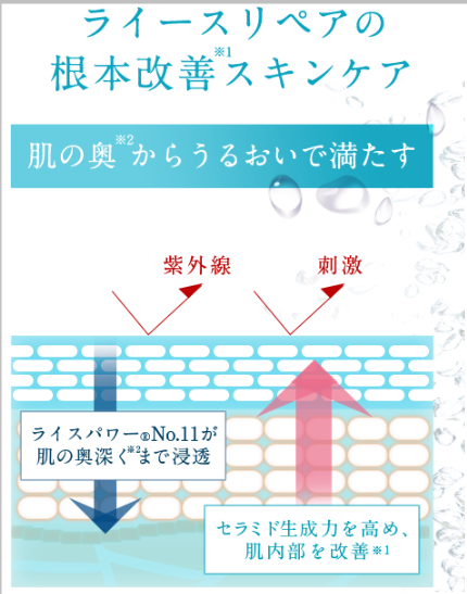 f:id:yhanamizuki:20180801125236p:plain f:id:yhanamizuki:20180801125236p:plain