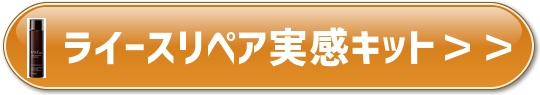 f:id:yhanamizuki:20180802063704j:plain f:id:yhanamizuki:20180802063704j:plain