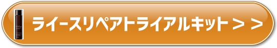 f:id:yhanamizuki:20180802064004j:plain f:id:yhanamizuki:20180802064004j:plain