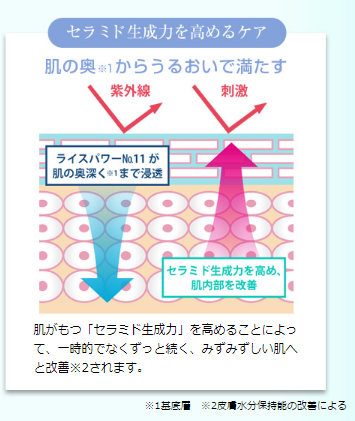 f:id:yhanamizuki:20180806160536p:plain f:id:yhanamizuki:20180806160536p:plain
