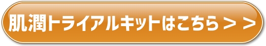 f:id:yhanamizuki:20180808064731j:plain f:id:yhanamizuki:20180808064731j:plain