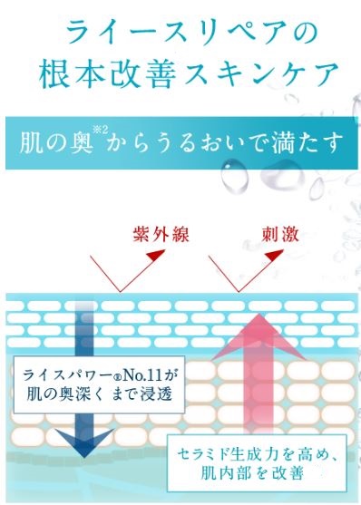 f:id:yhanamizuki:20180813153539j:plain f:id:yhanamizuki:20180813153539j:plain