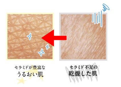 f:id:yhanamizuki:20180826070433j:plain f:id:yhanamizuki:20180826070433j:plain