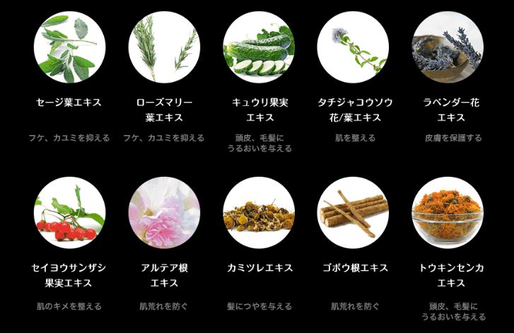 f:id:yhanamizuki:20180924072341j:plain f:id:yhanamizuki:20180924072341j:plain