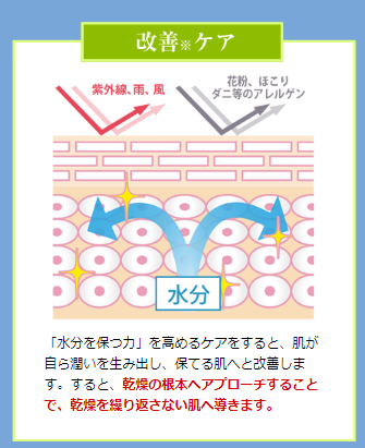 f:id:yhanamizuki:20180926104611p:plain f:id:yhanamizuki:20180926104611p:plain