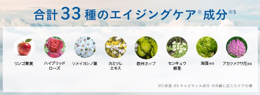f:id:yhanamizuki:20181118074422j:plain f:id:yhanamizuki:20181118074422j:plain
