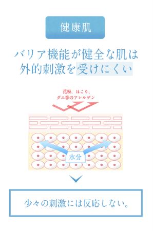 f:id:yhanamizuki:20181128055725j:plain f:id:yhanamizuki:20181128055725j:plain