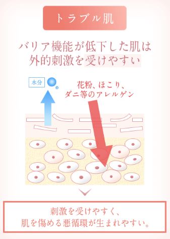 f:id:yhanamizuki:20181128055744j:plain f:id:yhanamizuki:20181128055744j:plain