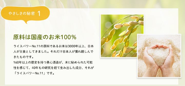 f:id:yhanamizuki:20181128060654j:plain f:id:yhanamizuki:20181128060654j:plain