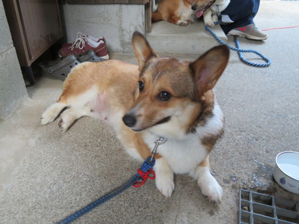f:id:yhcarry:20180720215328j:plain f:id:yhcarry:20180720215328j:plain