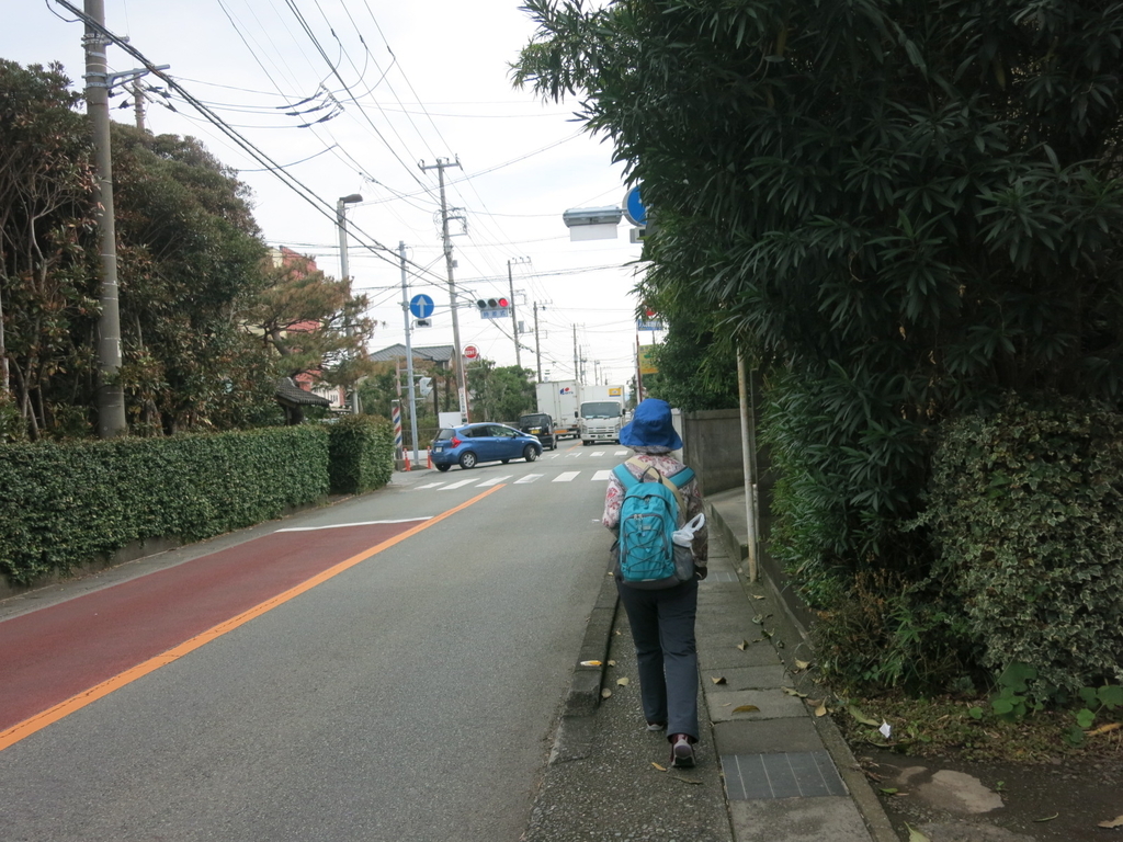 f:id:yhyh1940:20181110223901j:plain f:id:yhyh1940:20181110223901j:plain