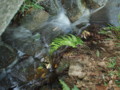 20090712154504