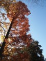 20101127141849