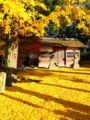 20101127151435
