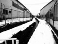 20110211132242