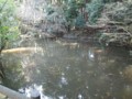 20110313125444