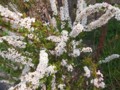 20110330120446