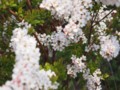 20110330120522